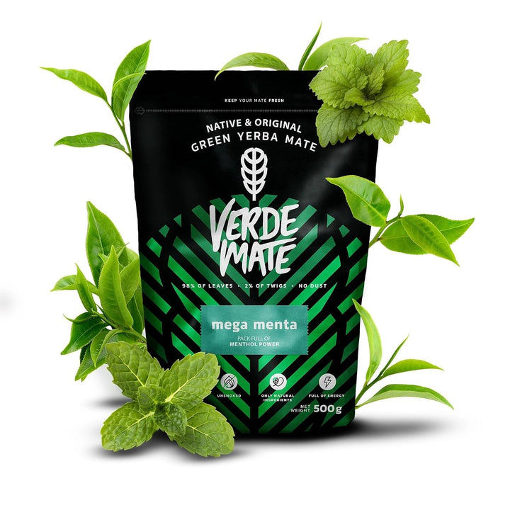 Mate Tee Set Verde Mate Mega Menta 500g - mit Mate Becher 220ml, Bombilla und Zubehör - Brasilien Ye