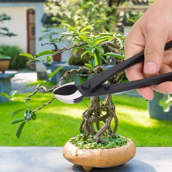 Bonsai Cutter-Zange, Bonsai-Zange, konkav, Manganstahl, Astschneider, schräg, Verbundstahl, Konkav,