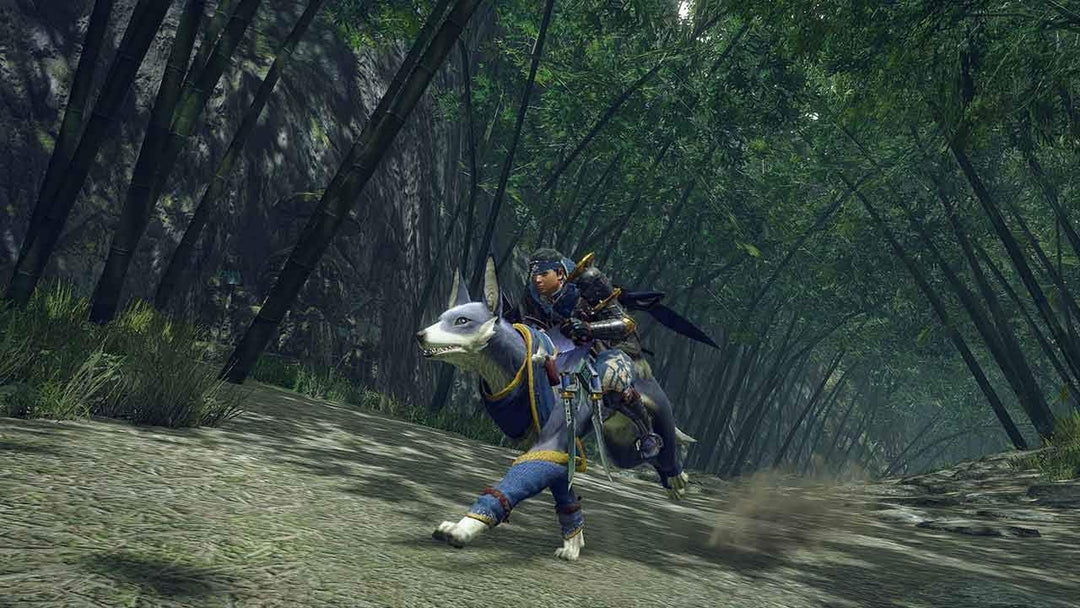 Unbekannt Monster Hunter Rise