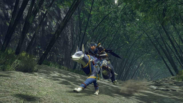 Unbekannt Monster Hunter Rise