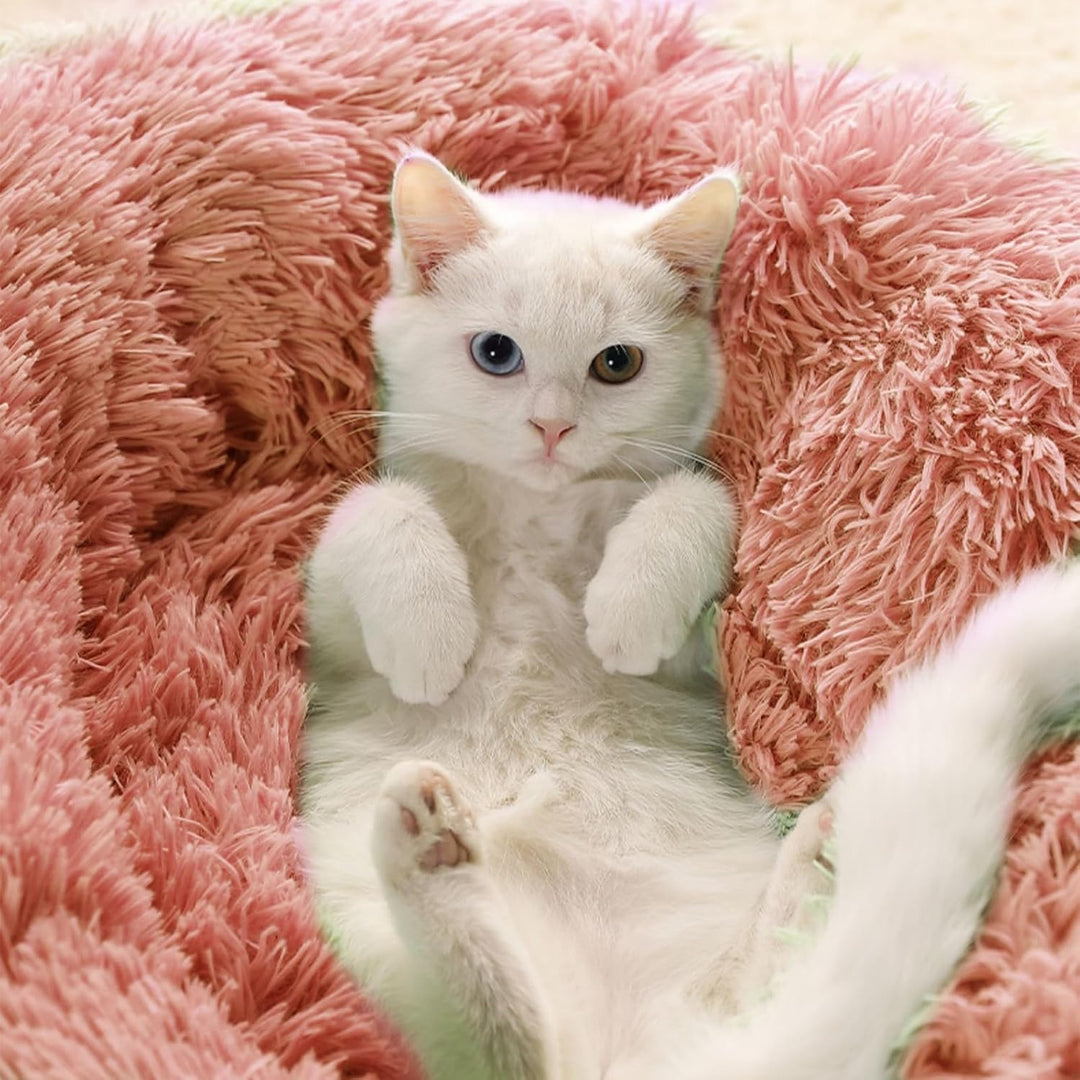 CALIYO Katzenbett Flauschig, Hundebett Kleine Hunde, Katzenkissen Hundekissen Waschbar, Trocknergeei