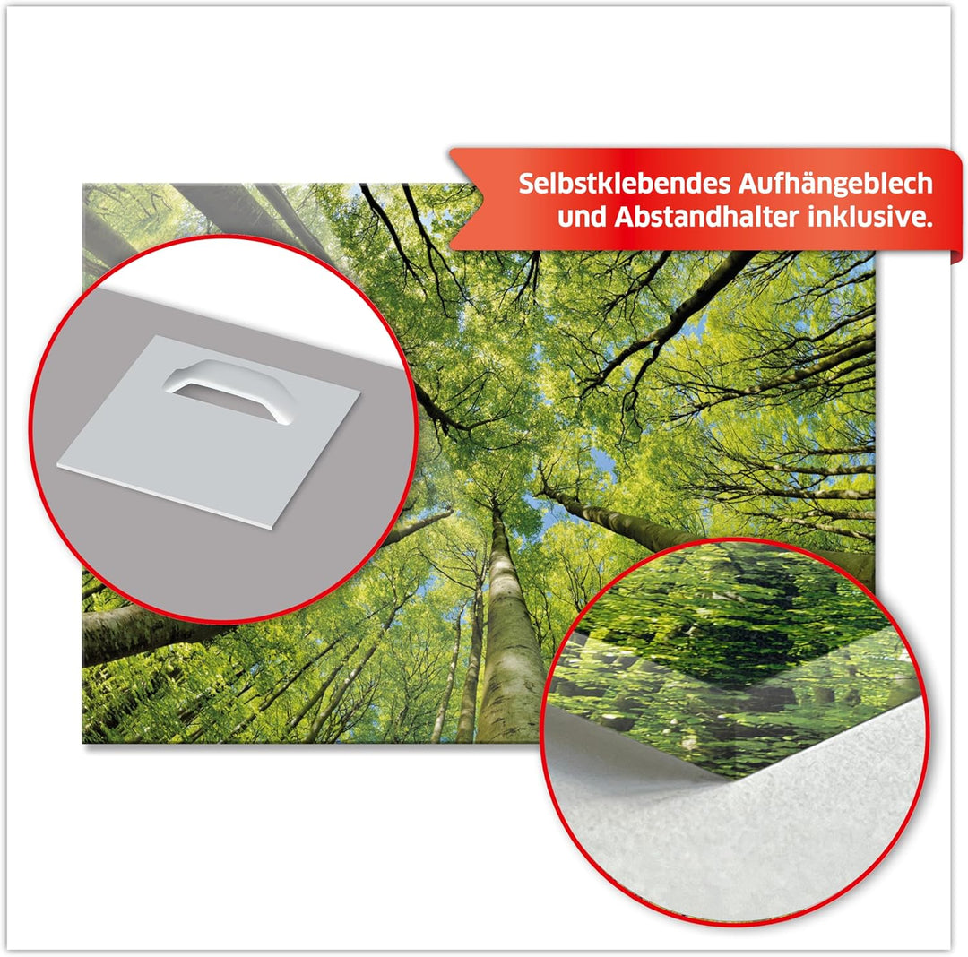 Primus Print - Wandbild Glasbild - Acrylglas Aludibond (Acryl, Bäume 84,1x59,4 cm) Acryl Bäume, Acry