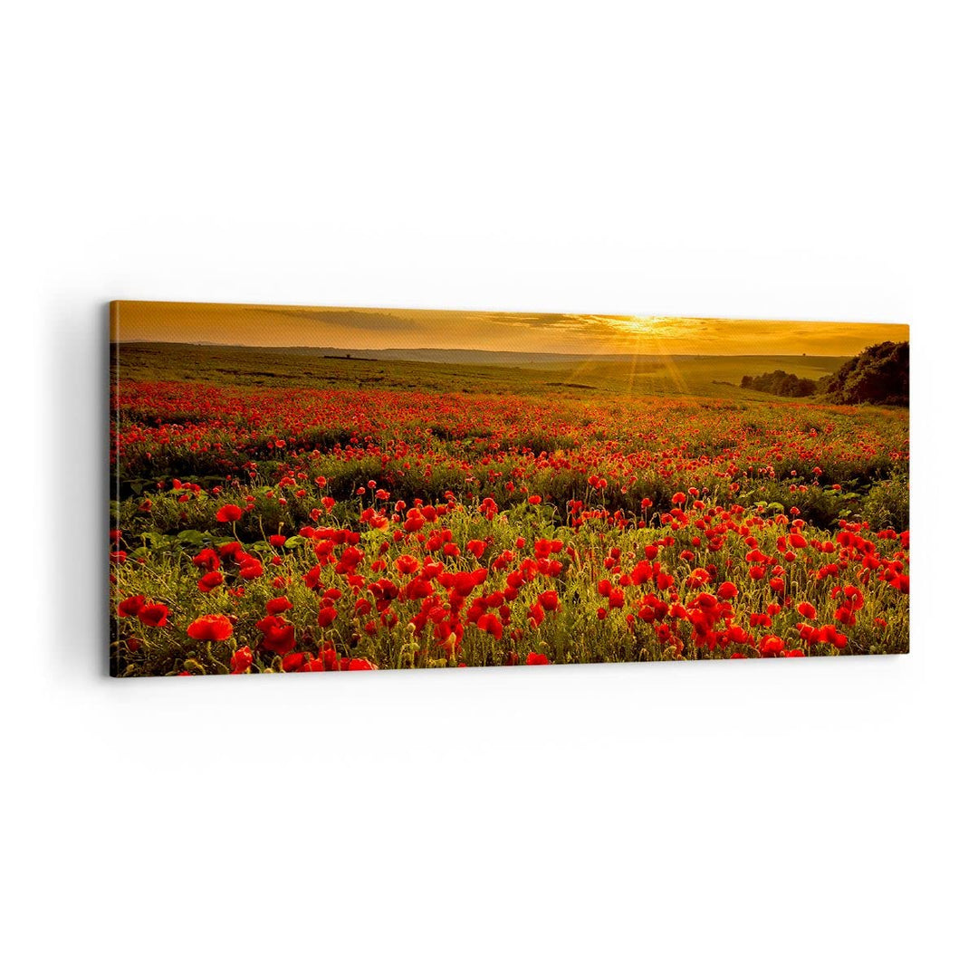 Panorama Bilder auf Leinwand 100x40cm Leinwandbild Mohn Blume Wiese Gross Wanddeko Bild Schlafzimmer