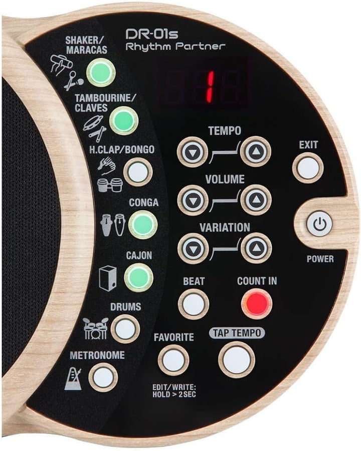 Boss DR-01S Rhythm Partner, DR-01S