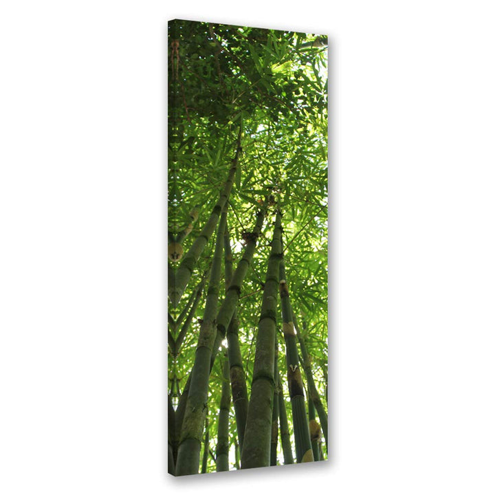 Feeby Leinwand Bilder - Natur - Wald - 50x150 cm- Deko Wohnzimmer - Wandbilder Schlafzimmer - Deko A