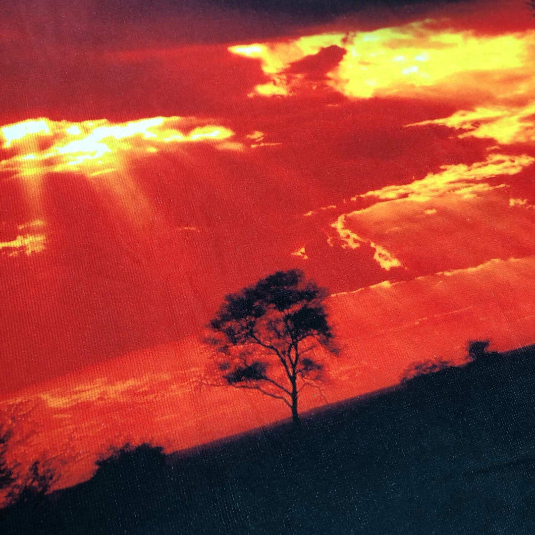 ESPiCO Strandlaken Tiger Badetuch Sonnenuntergang Sonnenaufgang Savanne Afrika Tigerkopf 100 cm x 18