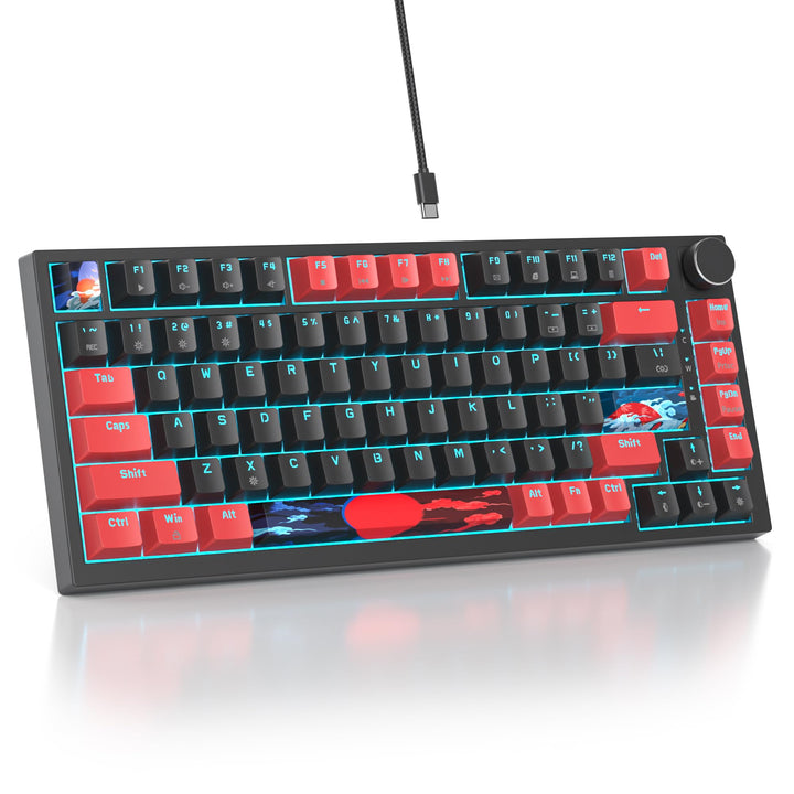 SOLIDEE Verkabelte 75% Mechanische Gaming-Tastatur,hot-swap-fähige Mechanische Tastatur mit Gasket S