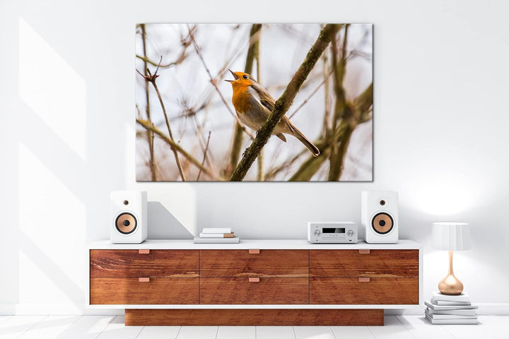 deyoli singendes Rotkehlchen Format: 80x60 als Leinwandbild, Motiv fertig gerahmt auf Echtholzrahmen