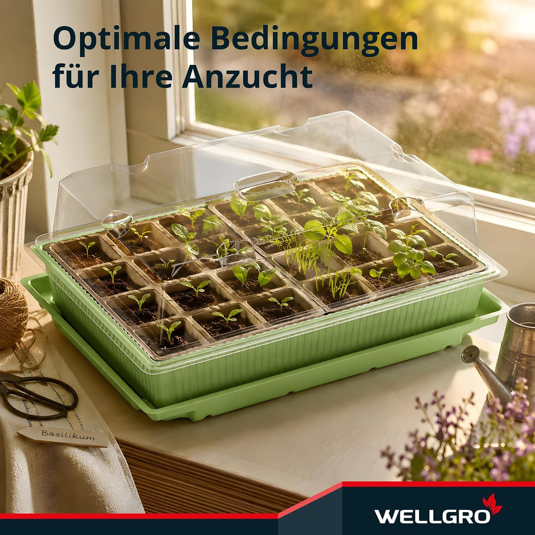 WELLGRO Mini Gewächshaus für 24 Pflanzen - ca. 27x19x10 cm (LxBxH) je Zimmergewächshaus, grün/transp
