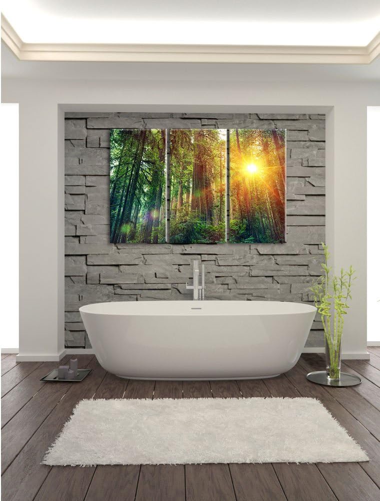 Pixxprint Wald bei Sonnenlicht / 3-Teilig/Gesamtmass 120cm Leinwandbild bespannt auf Holzrahmen/Wand