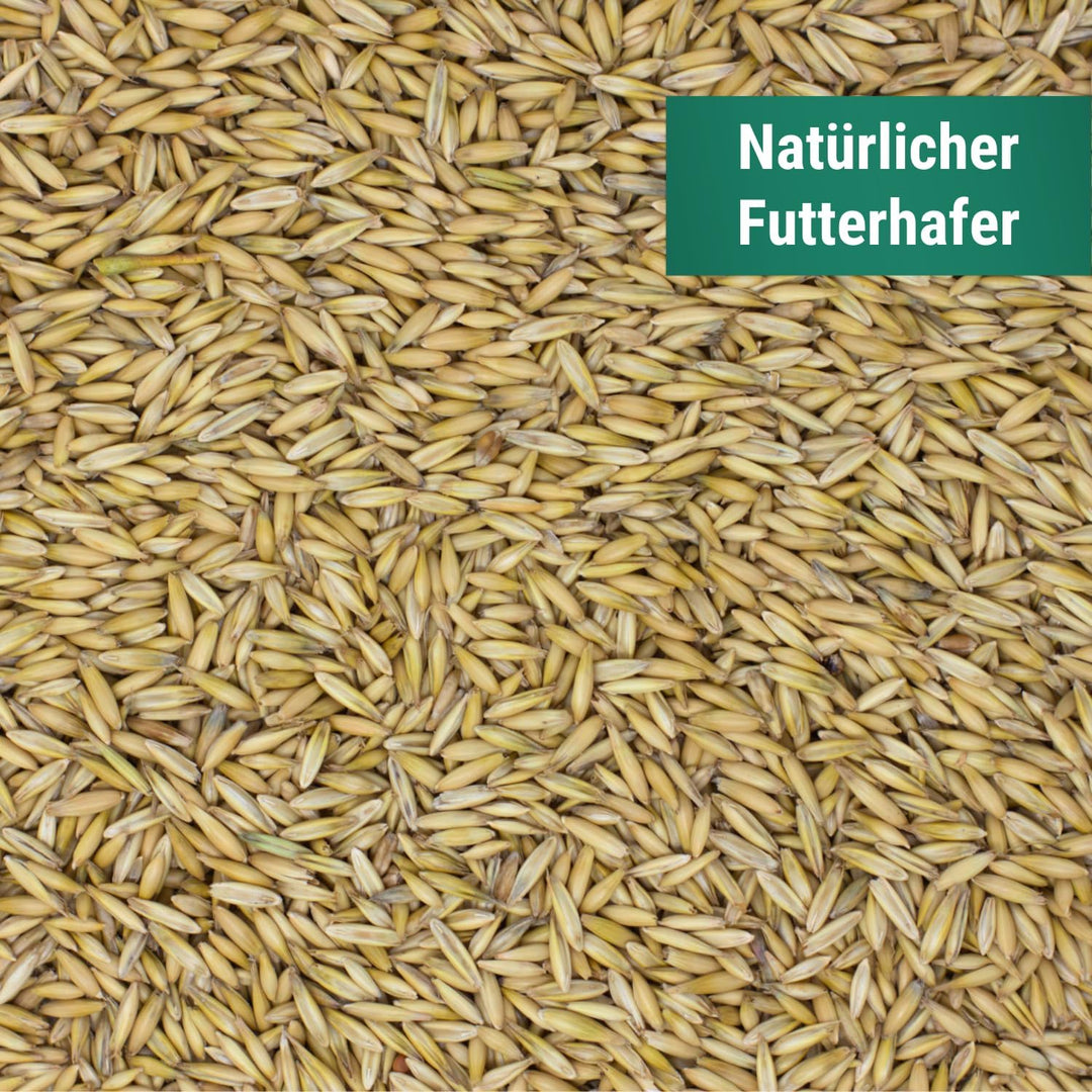 Agrarzone Hafer Pferd gereinigt 20 kg - Premium Pferdefutter 20KG Futterhafer - AMA-Gütesiegel Zerti