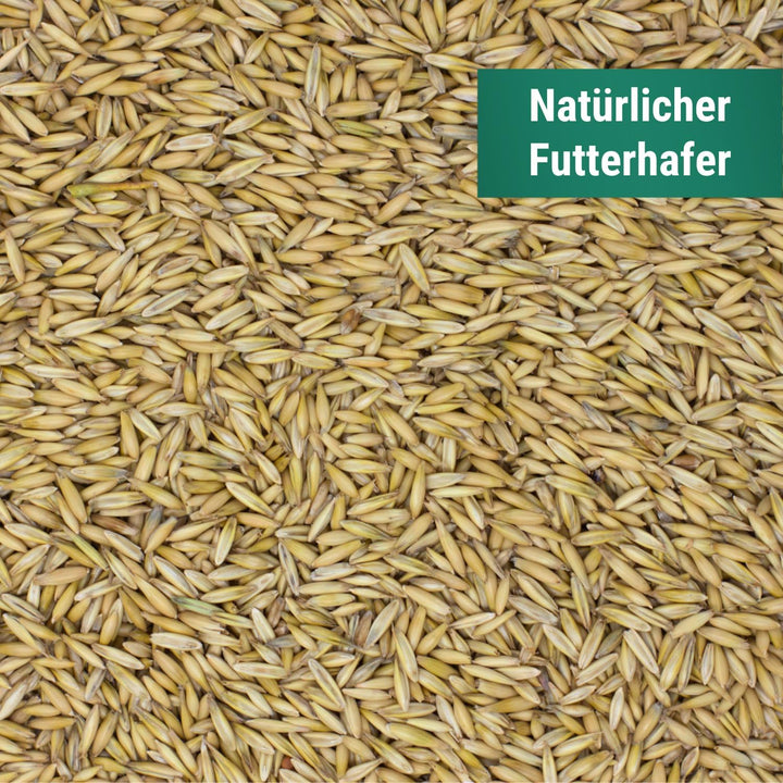 Agrarzone Hafer Pferd gereinigt 20 kg - Premium Pferdefutter 20KG Futterhafer - AMA-Gütesiegel Zerti