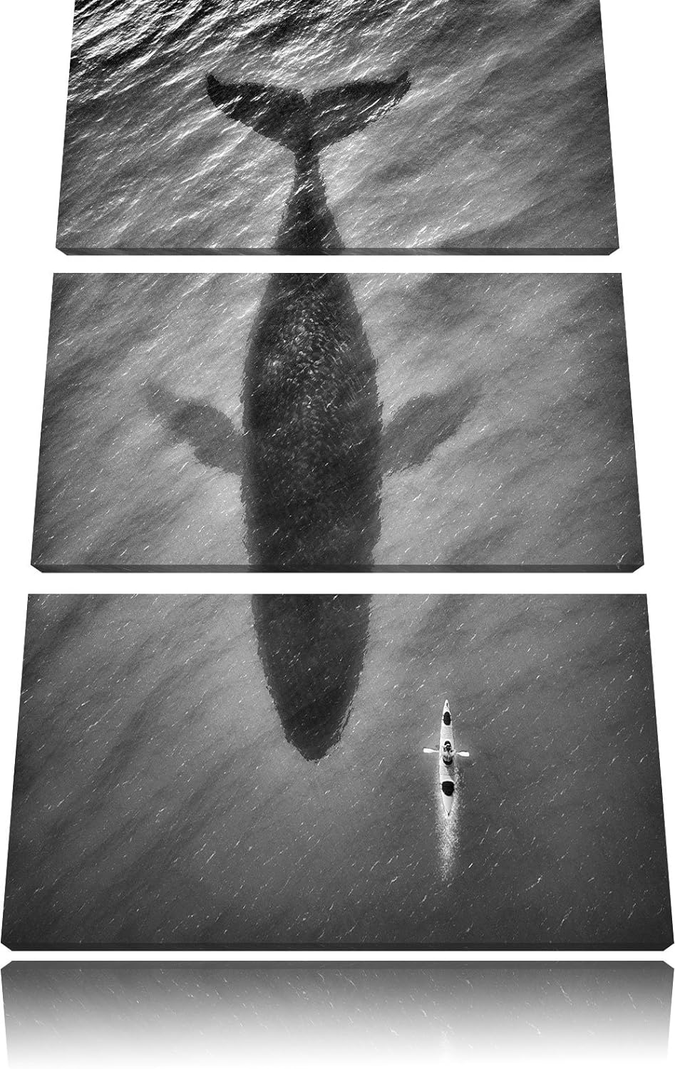 Pixxprint Riesiger Wal Schatten als Leinwandbild/Grösse: 3 Teilig (120x80) cm/Wandbild/Kunstdruck/fe