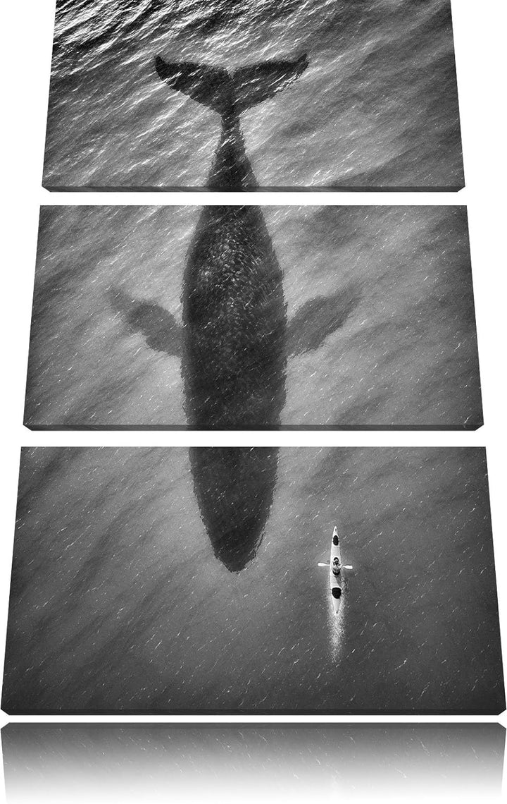 Pixxprint Riesiger Wal Schatten als Leinwandbild/Grösse: 3 Teilig (120x80) cm/Wandbild/Kunstdruck/fe