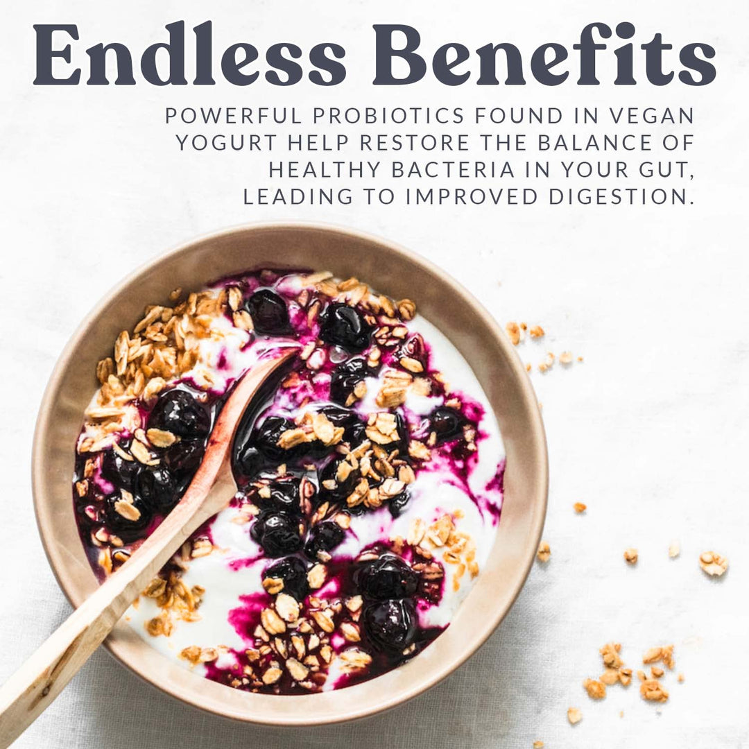 Vegan Yogurt Starter