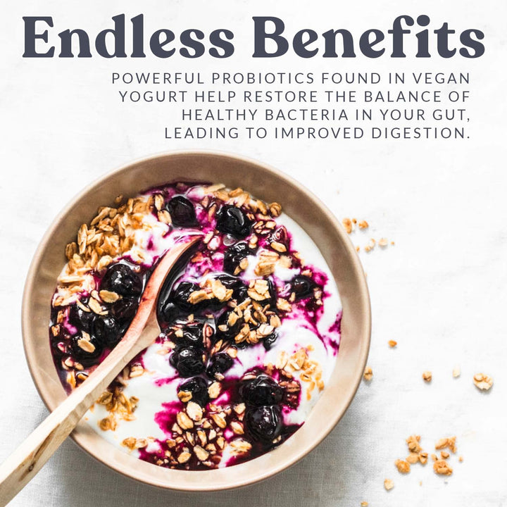 Vegan Yogurt Starter