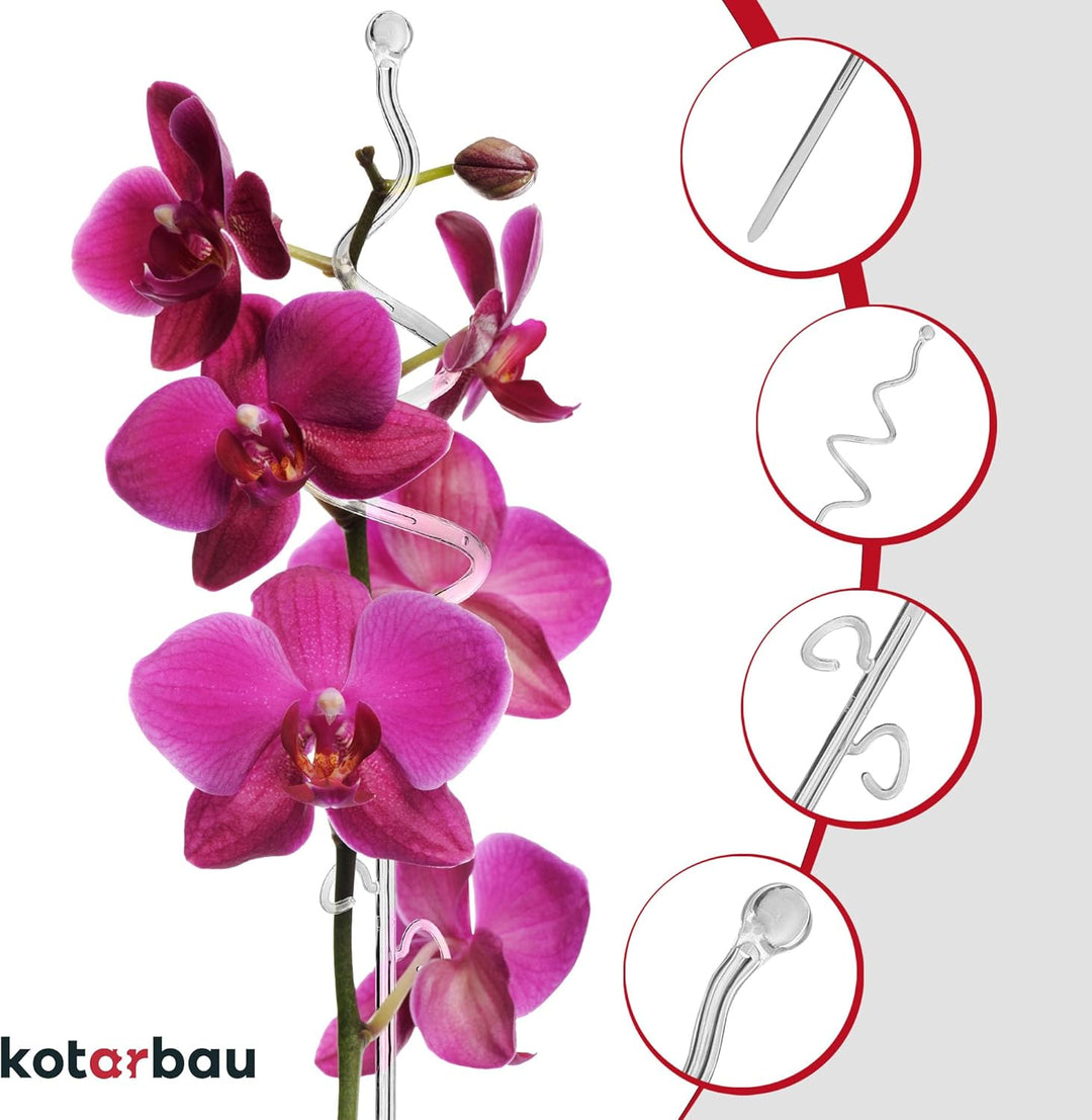 KOTARBAU® 6er Set Pflanzenstütze Transparent PVC 58 cm Spirale Blumenstütze Rankhilfe Zimmerpflanzen