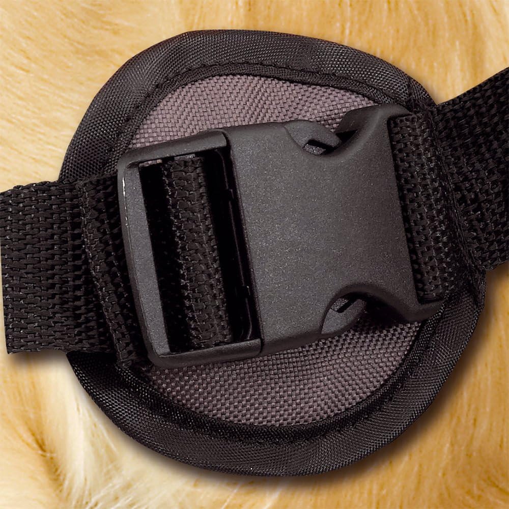 Ferplast Rucksack Hunde mittel gross robust gepolstert reflektierend DOG SCOUT