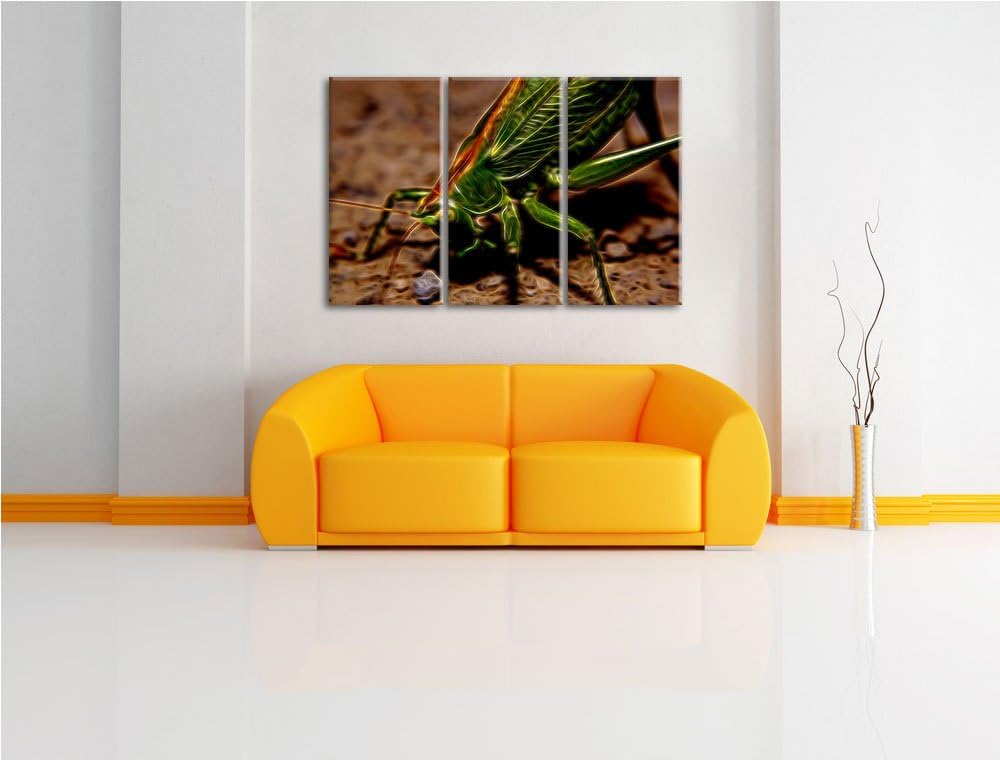 schöne Heuschrecke NewArt 3-Teiler Leinwandbild 120x80 Bild auf Leinwand, XXL riesige Bilder fertig