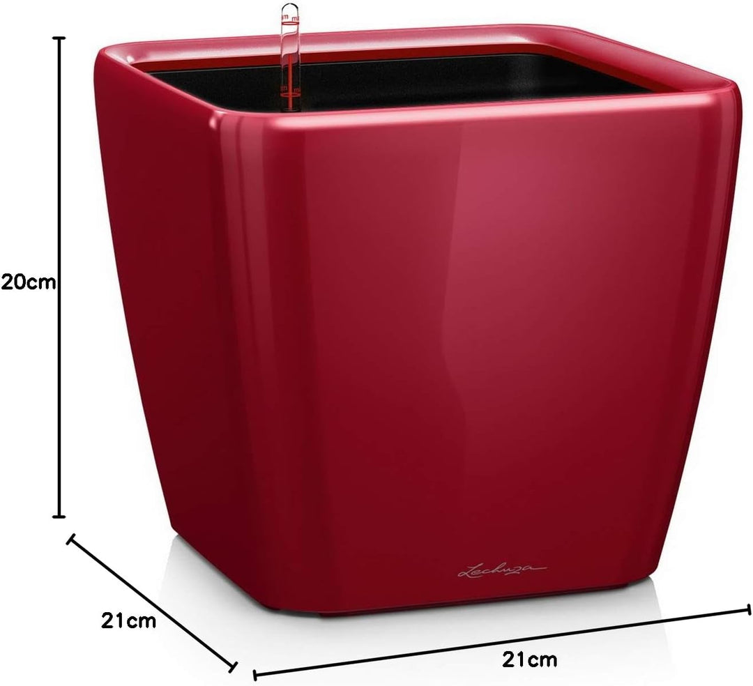 LECHUZA QUADRO Premium LS 21 scarlet rot hochglanz 16127 21x21x20 cm Scarlet Rot Hochglanz, 21x21x20