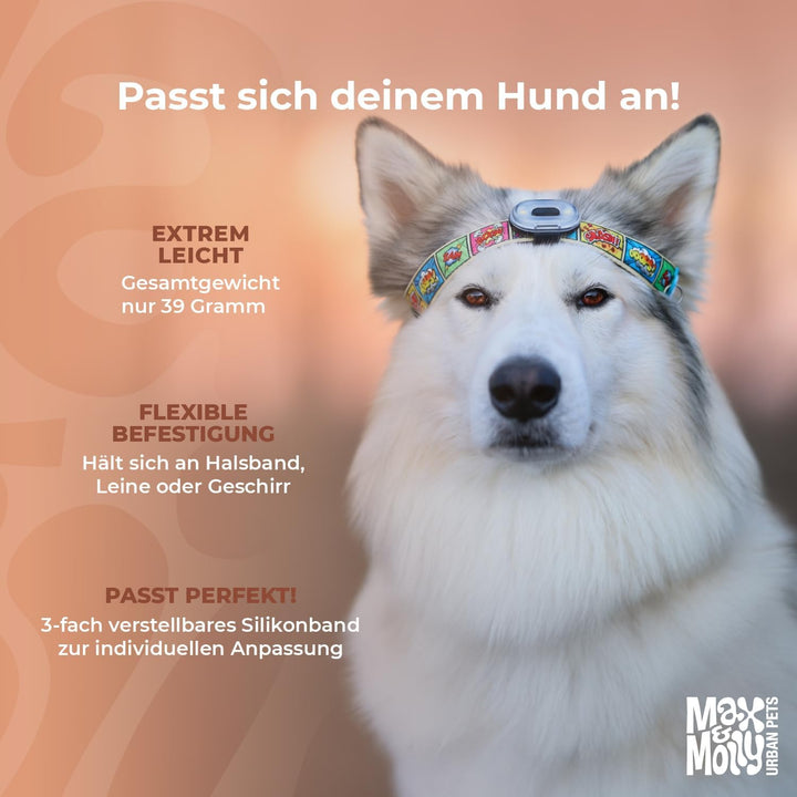 Max & Molly Matrix 2.0 Ultra LED, Hundelicht für Geschirr, Leine & Halsband, Jade, Wasserfest, USB W