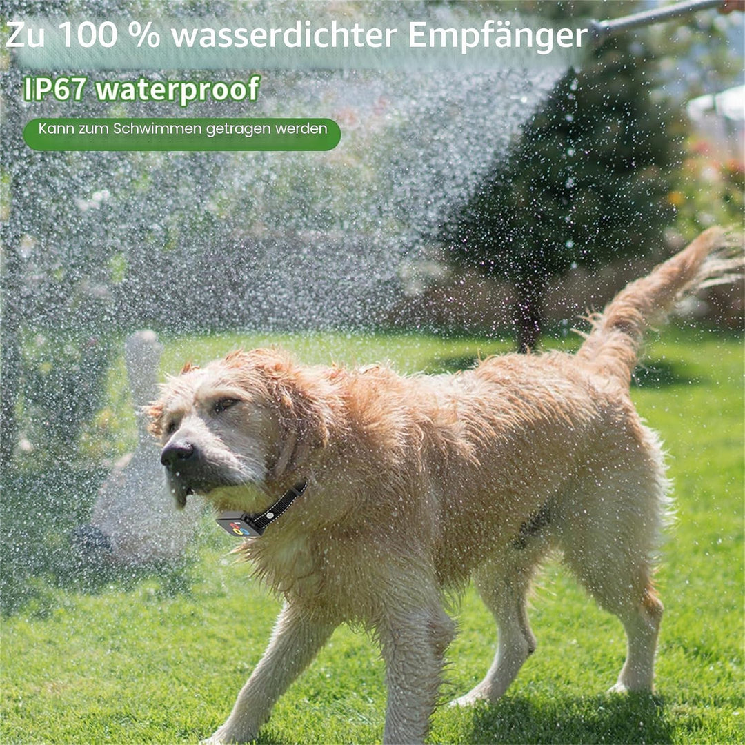 Generisch Trainingsequipment,praktisches und Neuartiges,2025 Neuheit Erziehungshilfen für Hunde,EAgi