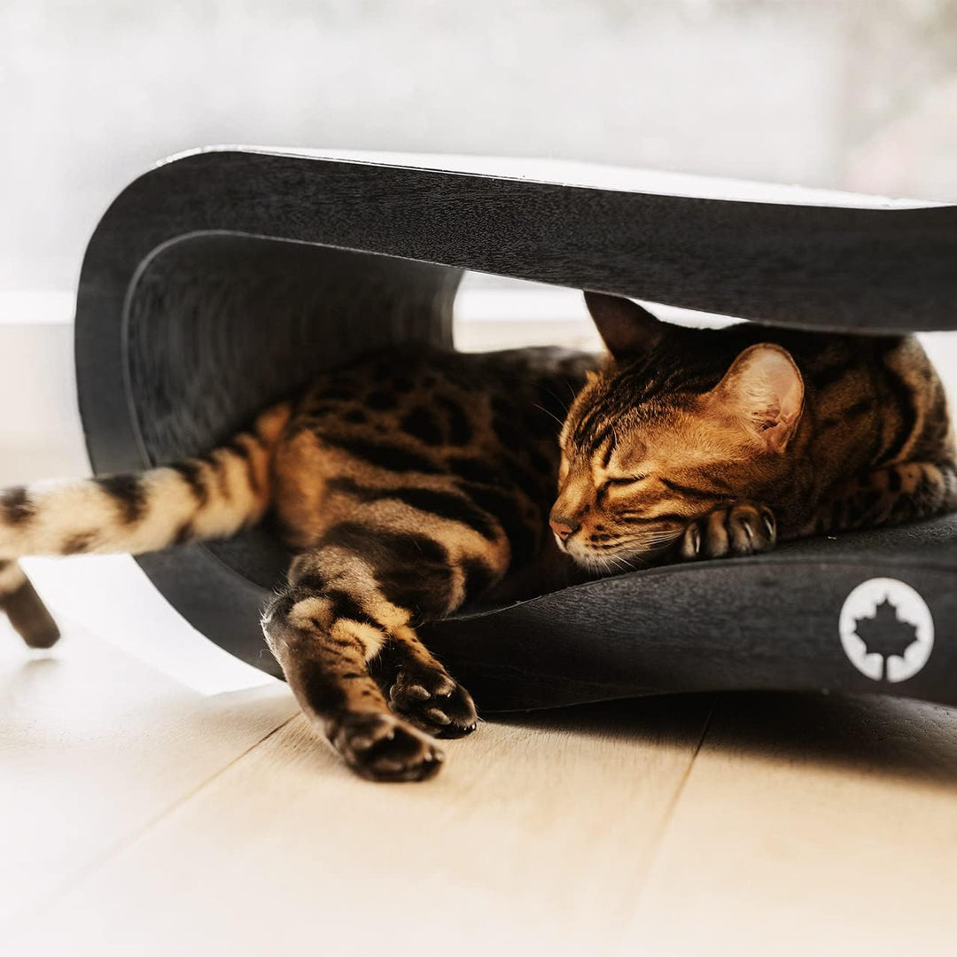 CanadianCat Company | Orbit 2.0 Kratzbrett - Black Edition | Kratzpappe Katzen Lounge in schwarz | c