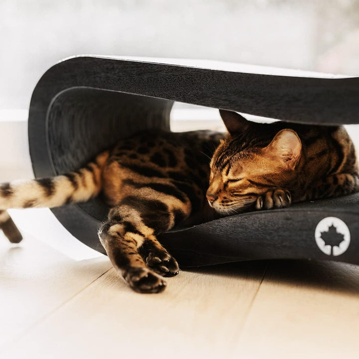 CanadianCat Company | Orbit 2.0 Kratzbrett - Black Edition | Kratzpappe Katzen Lounge in schwarz | c