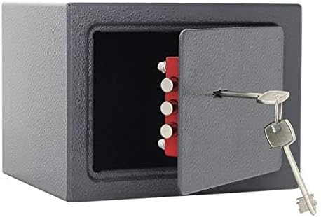 Rottner 114305 HomeDesign Möbeltresor Doppelbartschloss HDS-H10, Anthrazit, BxH 230x170 mm, Befestig