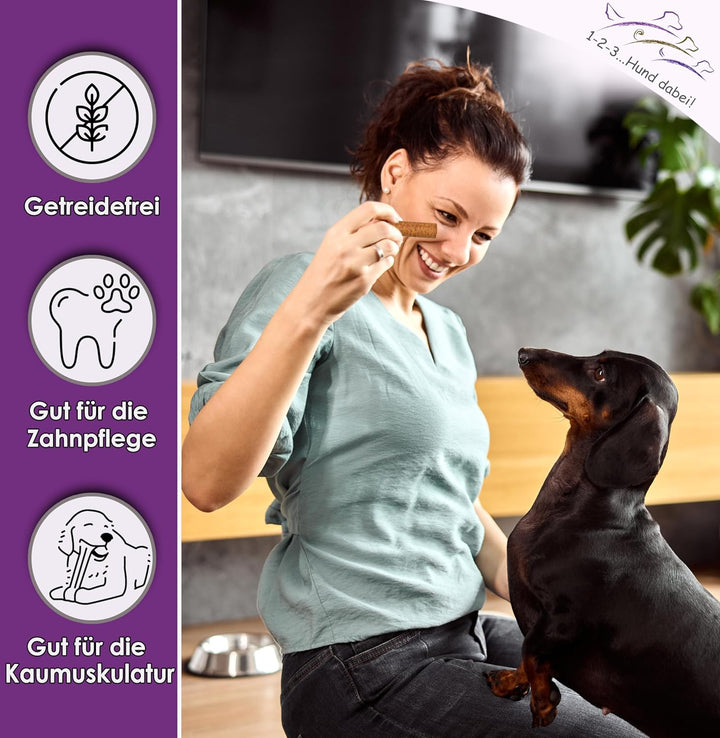 123... Hund dabei! - Kaurollen XXL 50er Tray (Lamm) - Dentalkaurolle - Getreidefrei - Vorteilspaket