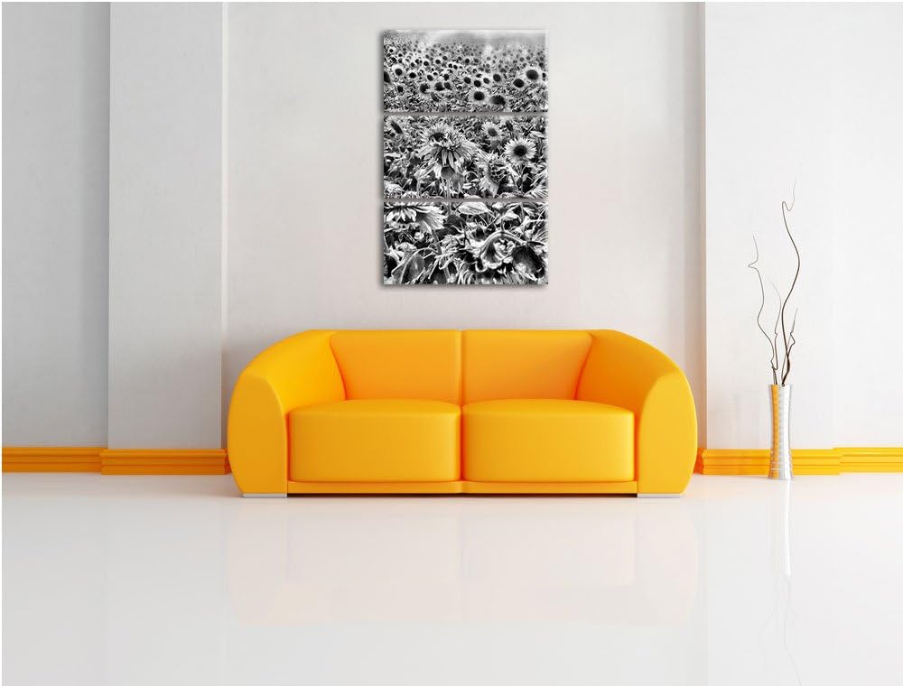 Pixxprint Sonnenblumenfeld als Leinwandbild/Grösse: 3 Teilig (120x80) cm/Wandbild/Kunstdruck/fertig