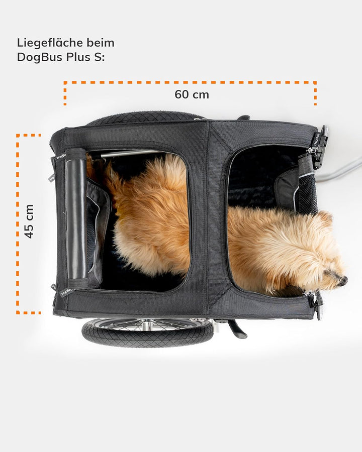 TrendPet DogBus Plus S - Gefederter Aluminium Fahrradanhänger, Hundeanhänger für kleine bis mittlere