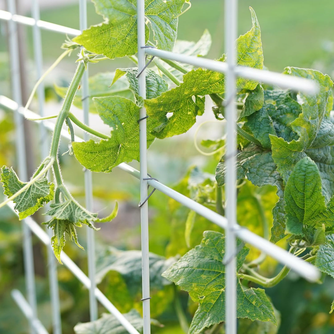 20 weisse unverwüstliche und langlebige Pflanzstäbe aus Glasfaser (GFK) 1 m x 7 mm + 25 Klammern 8-1