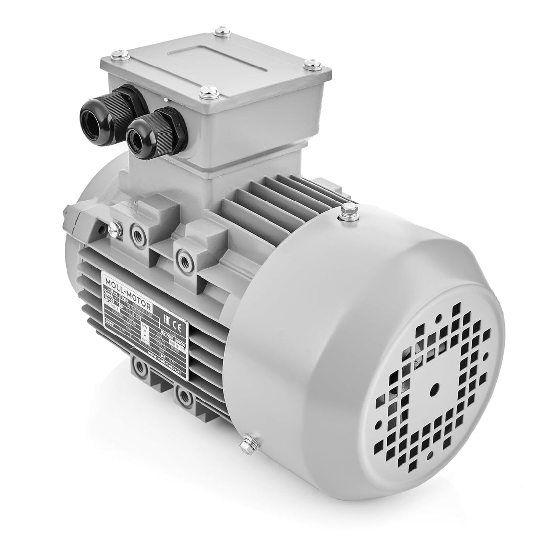 Elektromotor 0,55kW 1400 U/min 3-phasen 230/400V Drehstrommotor MOLL-MOTOR Energiesparmotor Flanschm
