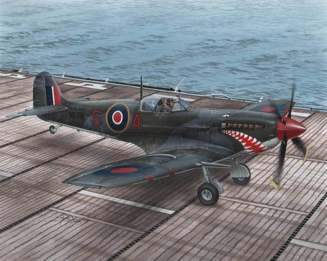 Special Hobby SH48102 - Supermarine Seafire Mk.II Torch and Avalan Flugzeug