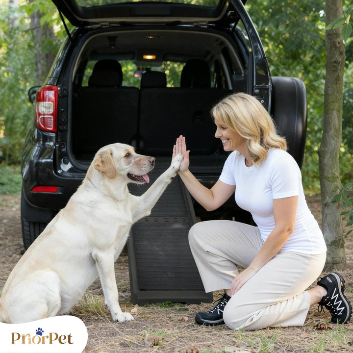 Hunderampe Auto Klappbar – 174 cm Lang & 38 cm Breit – rutschfeste Gummi Rampe für grosse Hunde – St