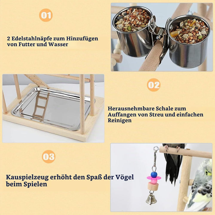 Wellensittich Spielplatz Vogel-Spielplatz mit Feeder-Cup Spielzeug Leiter Erklimmen Schaukel und Tab