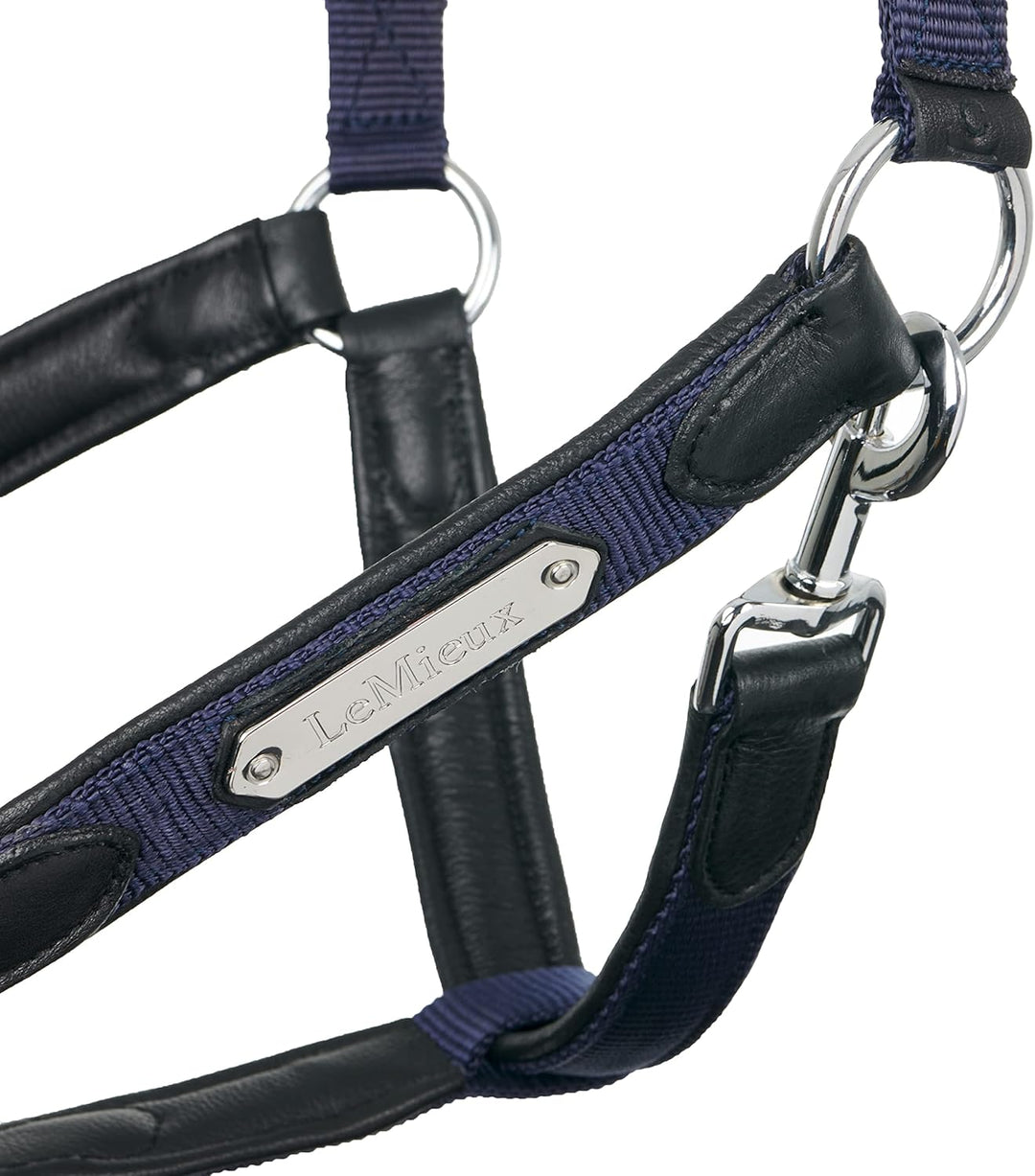LeMieux Capella Headcollar Halfter, navy