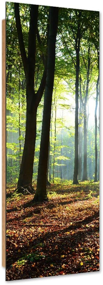 Dekobild Herbst Deko Wand Kunstdruck Wald Braun 50x150 cm M14616 50x150 cm, M14616 50x150 cm