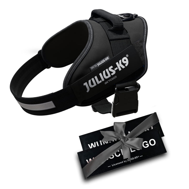 JULIUS K-9 IDC Powergeschirre Anthrazitgrau mit individuelle Klettaufschriften Bundle optionale Grös