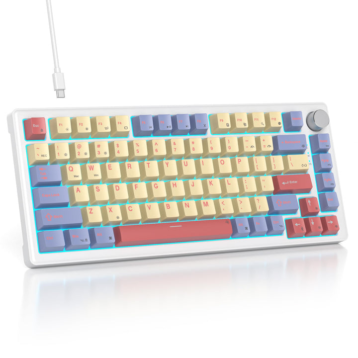 SOLIDEE Verkabelte Mechanische Gaming Tastatur 75 Prozent,hot-swap-fähige Mechanische Tastatur mit G