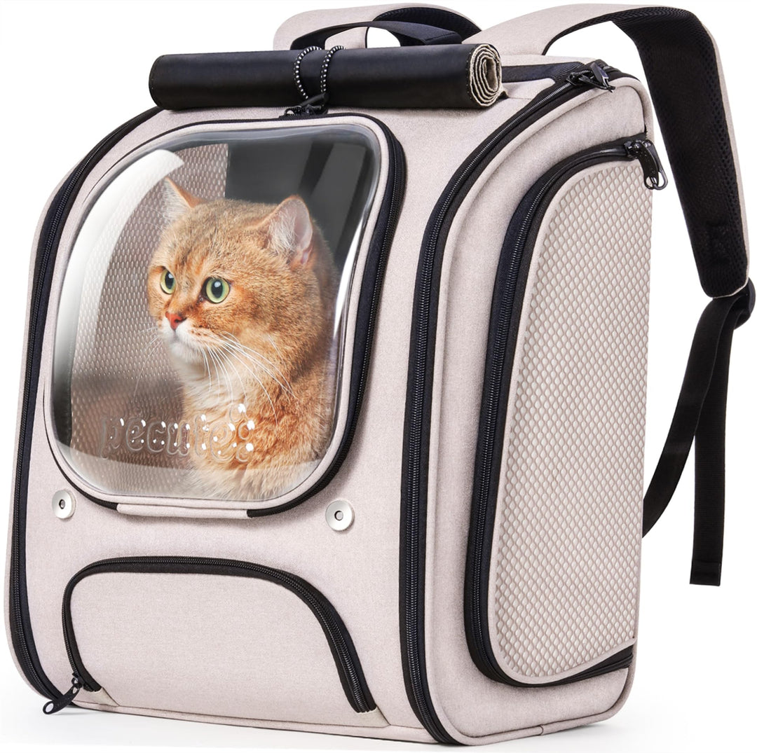 pecute Katzenrucksack Bubble Haustier Rucksack mit Netzfenster, Tragbare und Faltbare Katzentasche,