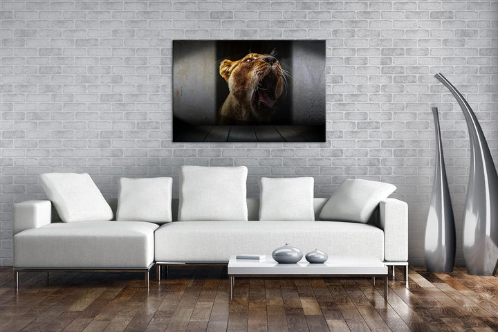 deyoli brüllende Löwin Format: 80x60 als Leinwand, Motiv fertig gerahmt auf Echtholzrahmen, Hochwert