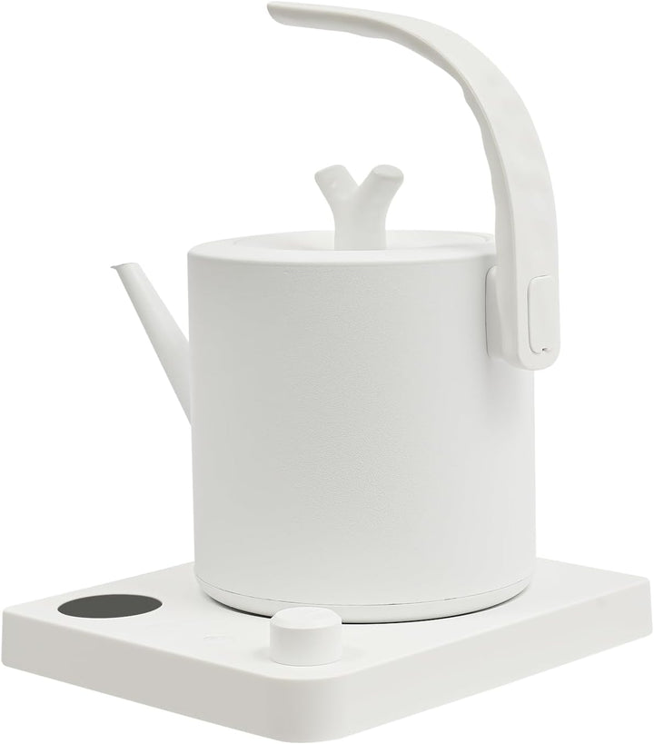 Wasserkocher mit Schwanenhals Edelstahl 1L, Teekocher Elektrisch, Wasserkocher mit Temperatureinstel