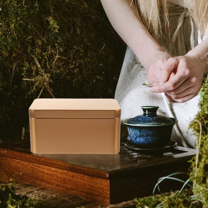 HOMSFOU Rechteckige Weissblechbox Mit Deckel – Mini Tragbarer Teeblatt-Vorratsbehälter Und Süssigkei