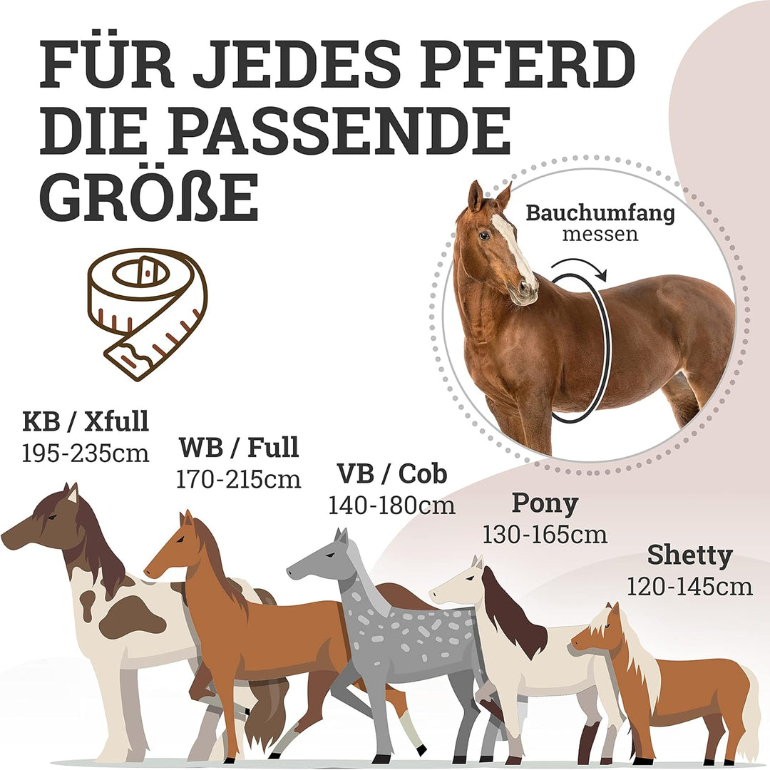 Esposita Reitgurt mit 2 Griffen aus Leder zum Festhalten für Kinder und Reitanfänger - auch geeignet