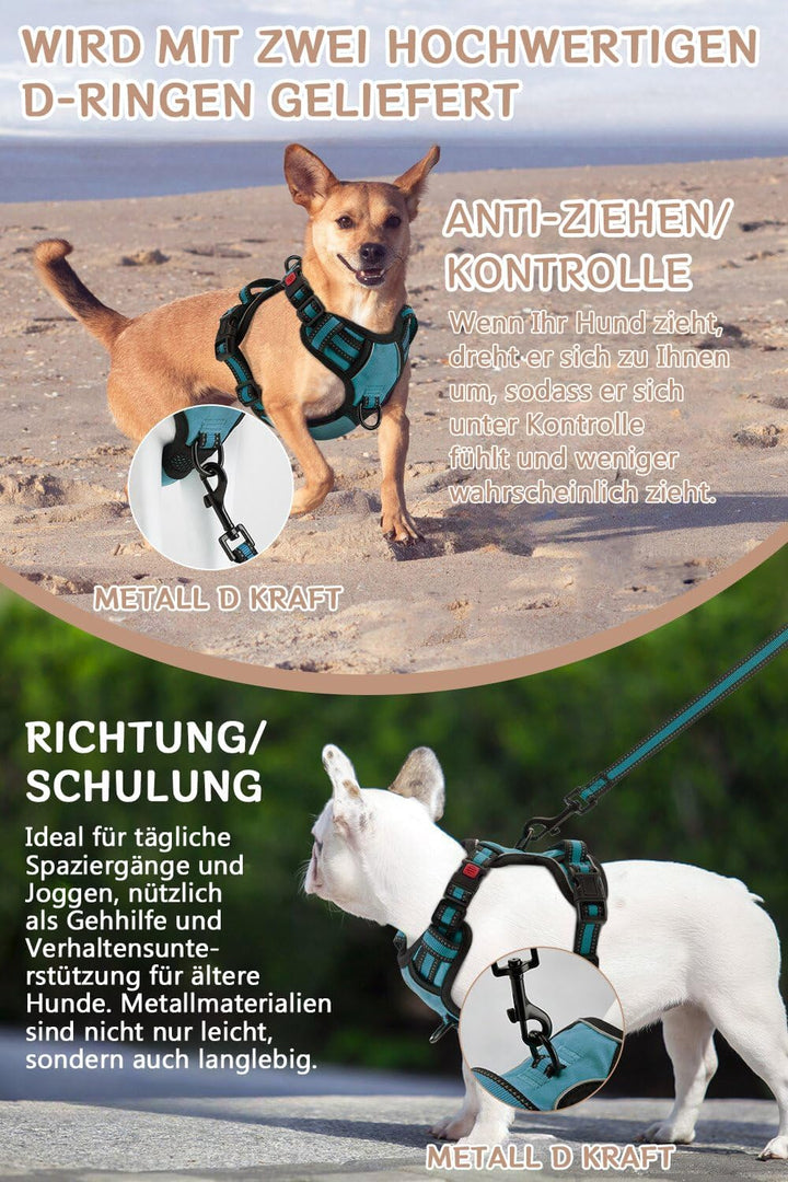 BaoCheng Hundegeschirr Anti Zug Hundegürtel,Kleine/mittlere/grosse Hunde,Atmungsaktives Mesh, Einfac