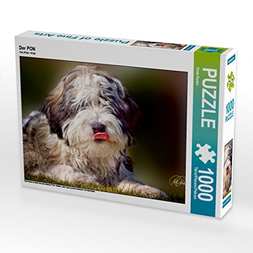 CALVENDO Puzzle Der PON 1000 Teile Lege-Grösse 64 x 48 cm Foto-Puzzle Bild von Peter Roder, 1000 Tei