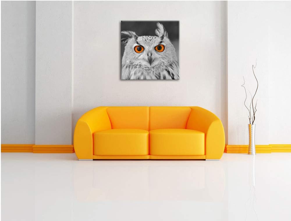 Pixxprint süsser Eulen Kauz schwarz/weiss, Format: 70x70 auf Leinwand, 70x70