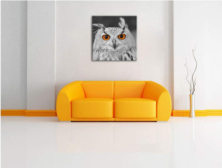 Pixxprint süsser Eulen Kauz schwarz/weiss, Format: 70x70 auf Leinwand, 70x70